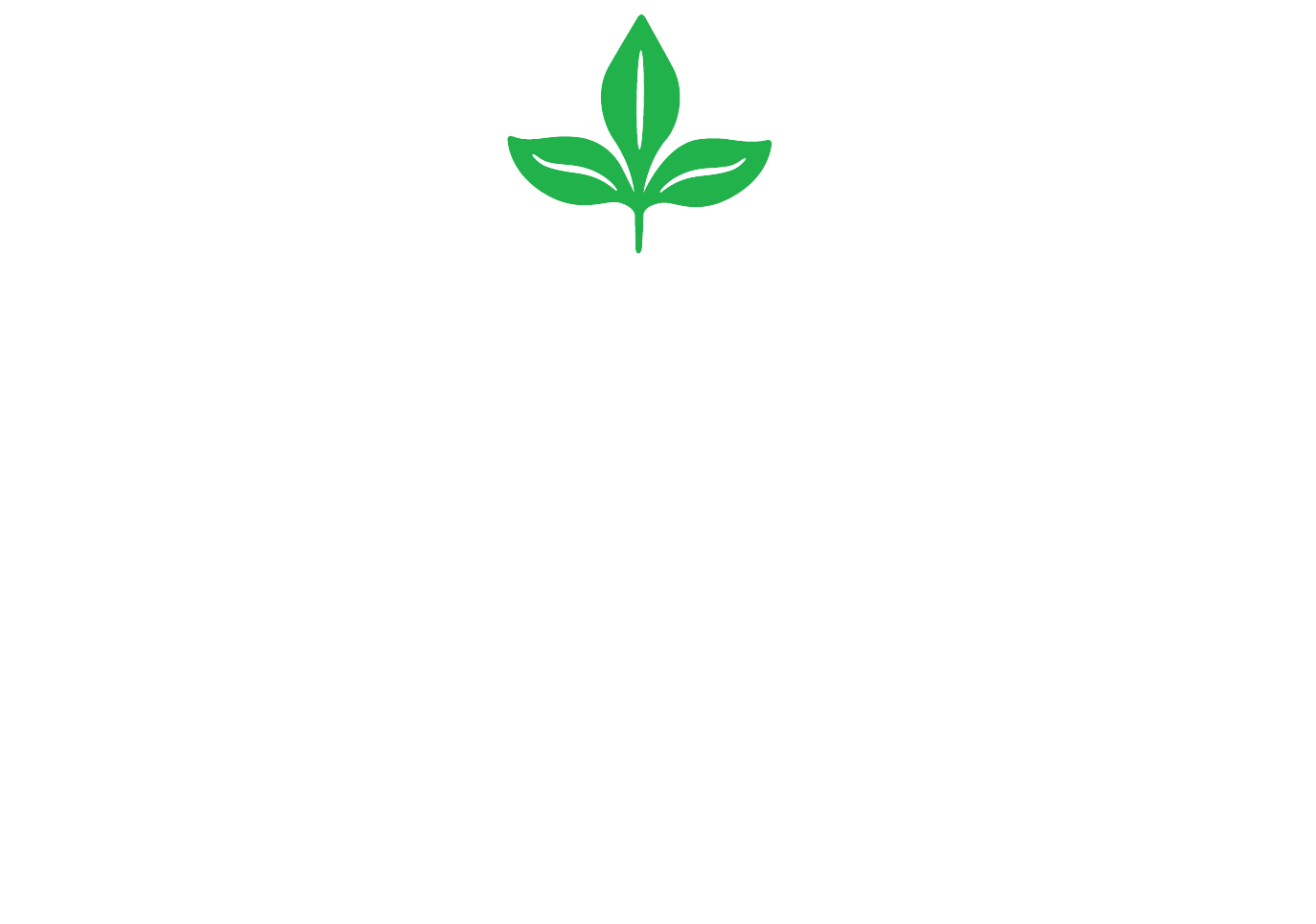 Jumex graphic