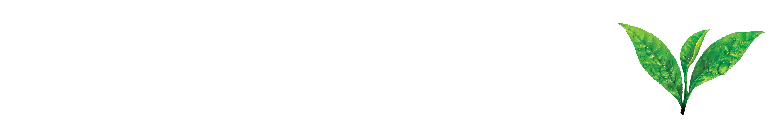 Pure Leaf graphic